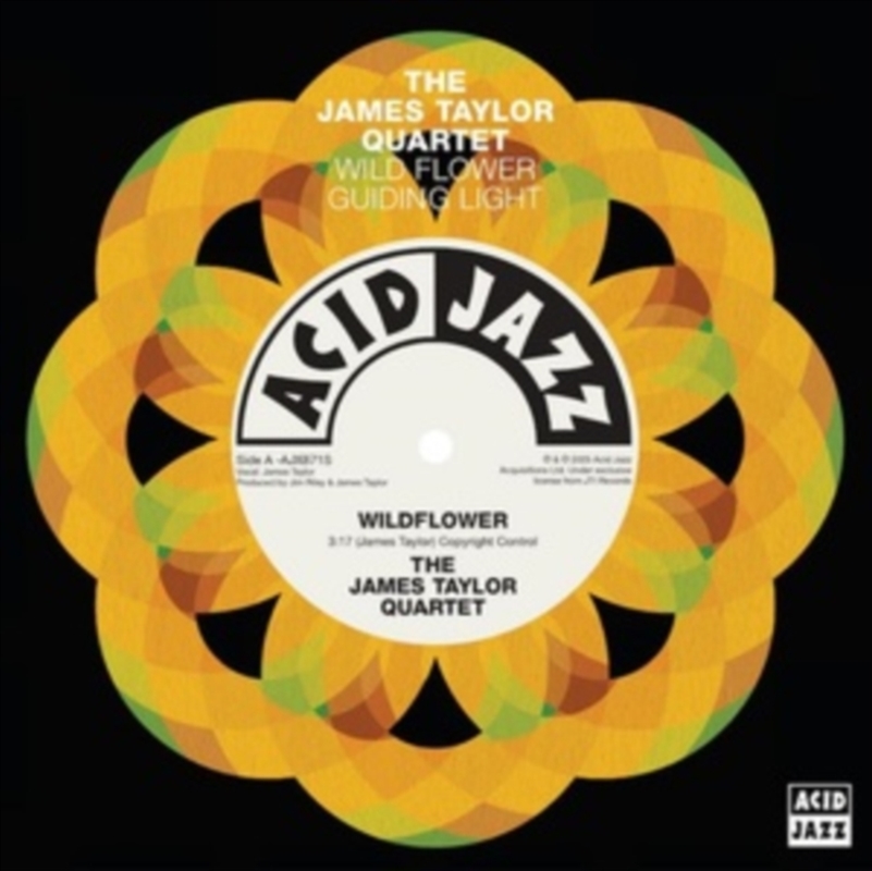 Wildflower / Guiding Light/Product Detail/Jazz