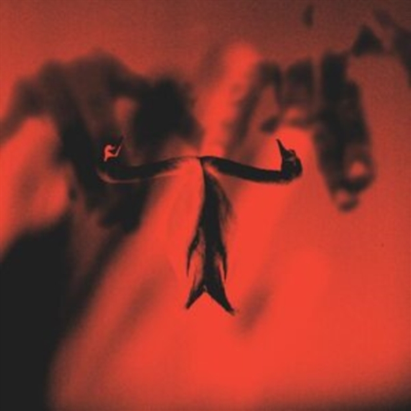 Make Team Presents Maxim Mental In Maximalism/Product Detail/Rock/Pop