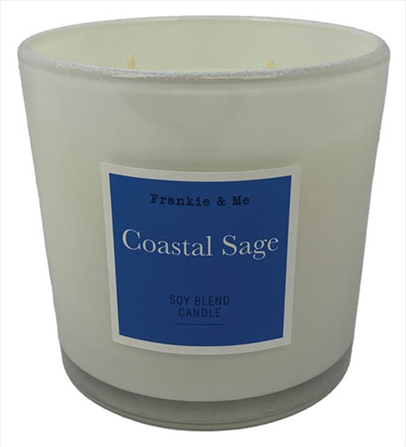 Candle 400G Coastal Sage Cut Wick White Glass/Product Detail/Candles
