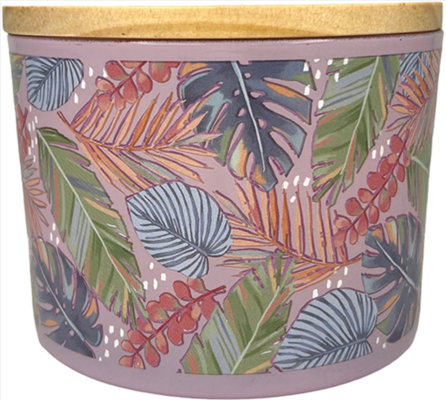 Candle 400G Cut Wick Tropical Coconut Palm/Product Detail/Candles