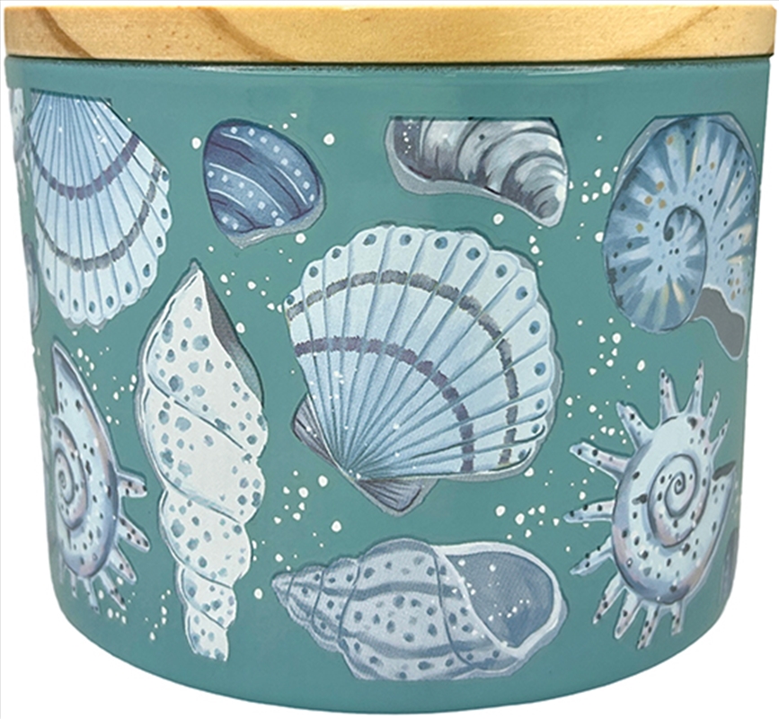 Candle 400G Cut Wick Shells Sandalwood/Product Detail/Candles