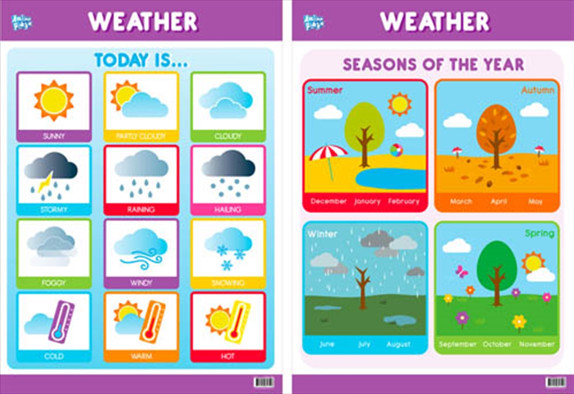 Educational Poster Double Sided Weather/Product Detail/Posters & Prints