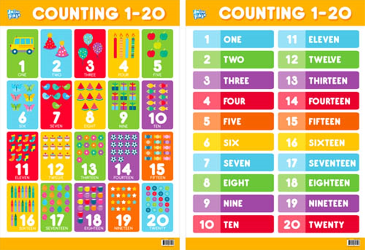 Educational Poster Double Sided Count20/Product Detail/Posters & Prints