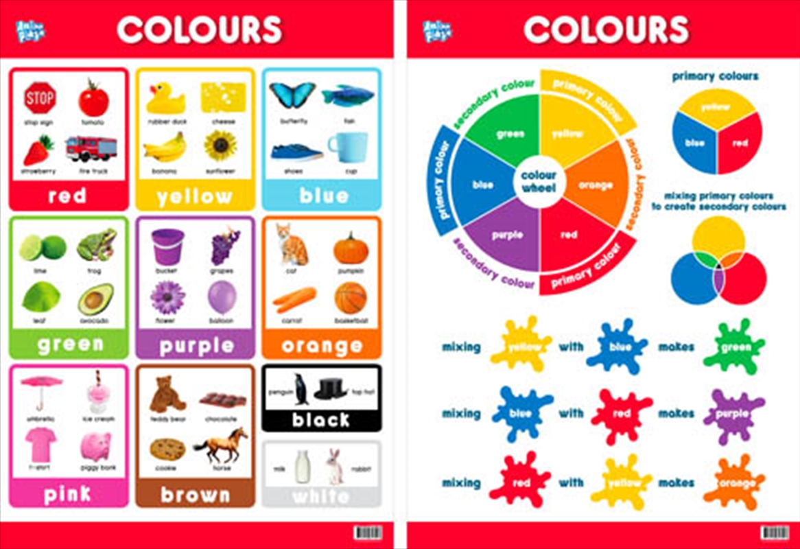 Educational Poster Double Sided Colours/Product Detail/Posters & Prints