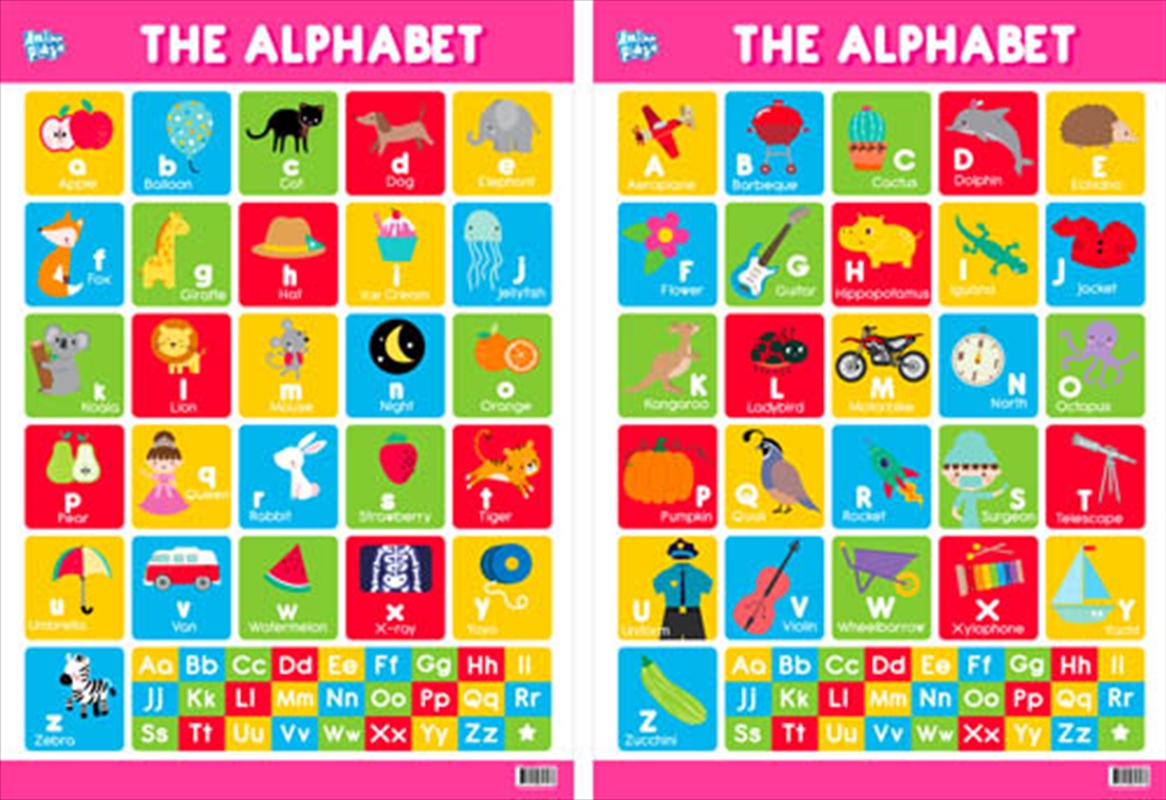 Educational Poster Double Sided Alphabet/Product Detail/Posters & Prints