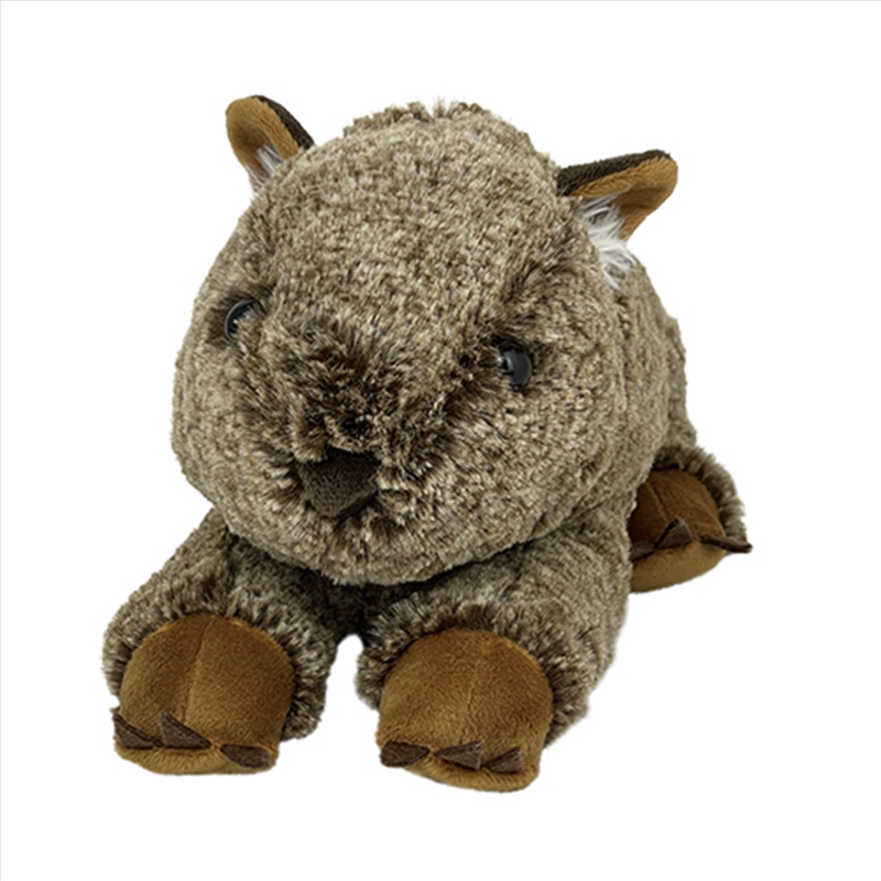 Plush Aust 25 cm Wombat/Product Detail/Plush Toys