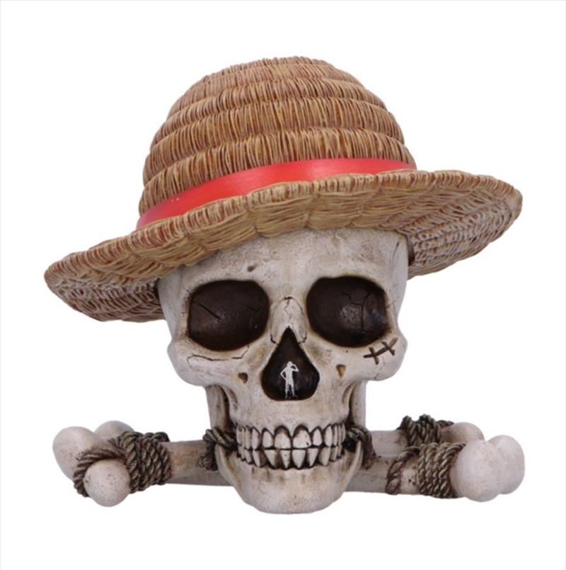 One Piece Luffy Jolly Roger Box/Product Detail/Collectables