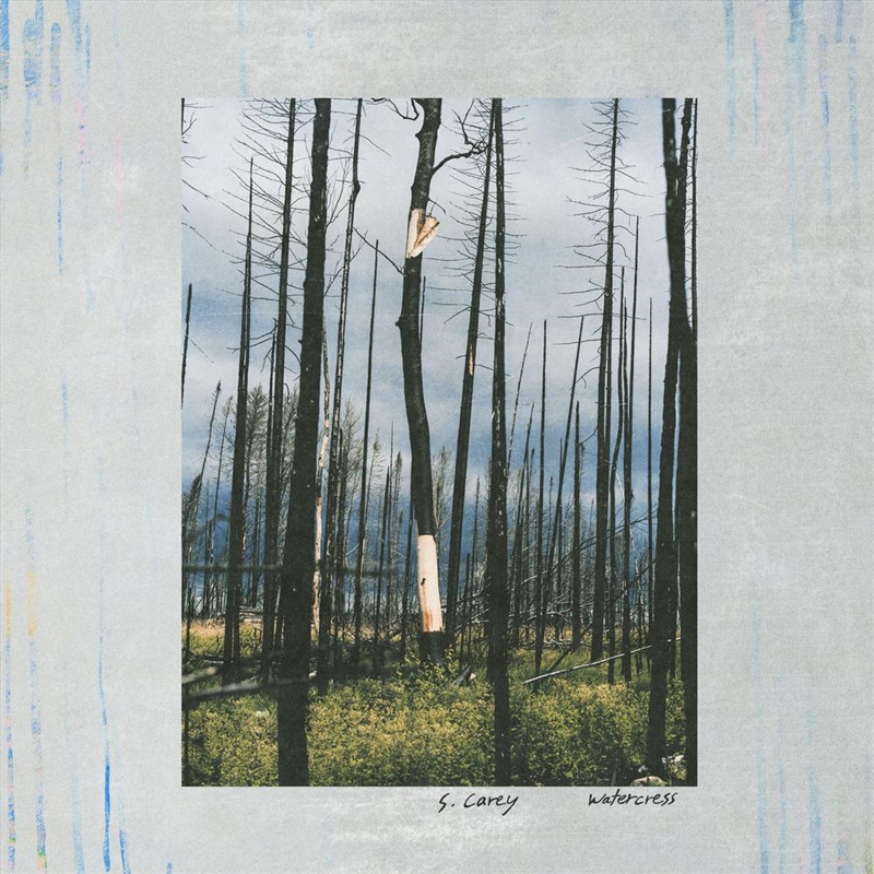 Watercress/Product Detail/Alternative