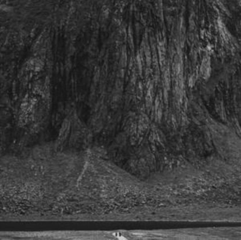 Doomed/Product Detail/Metal