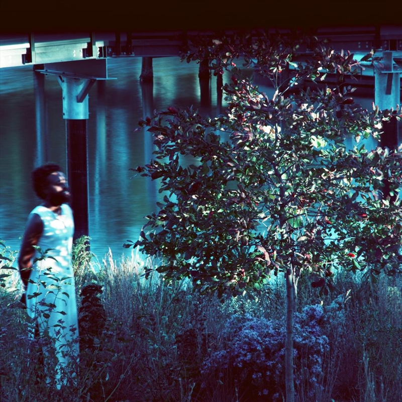 Vesper Sparrow/Product Detail/Alternative