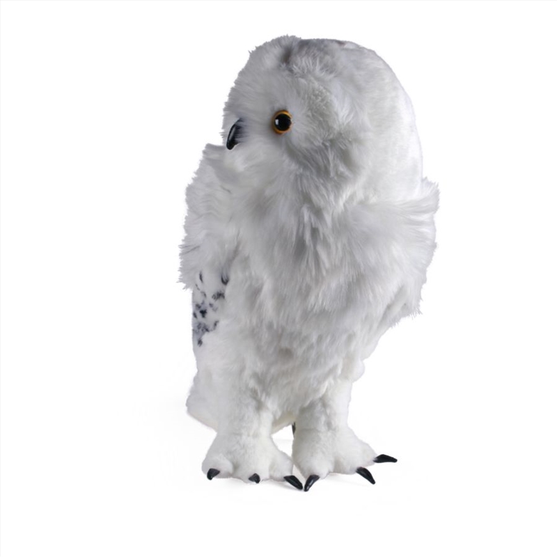 Harry Potter - Hedwig Collector's Plush/Product Detail/Plush Toys