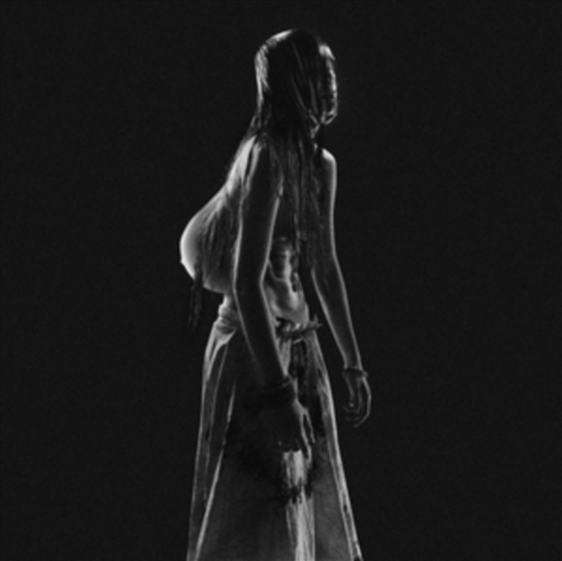 I Can Be Your Mother / I'm Camera/Product Detail/Rock/Pop