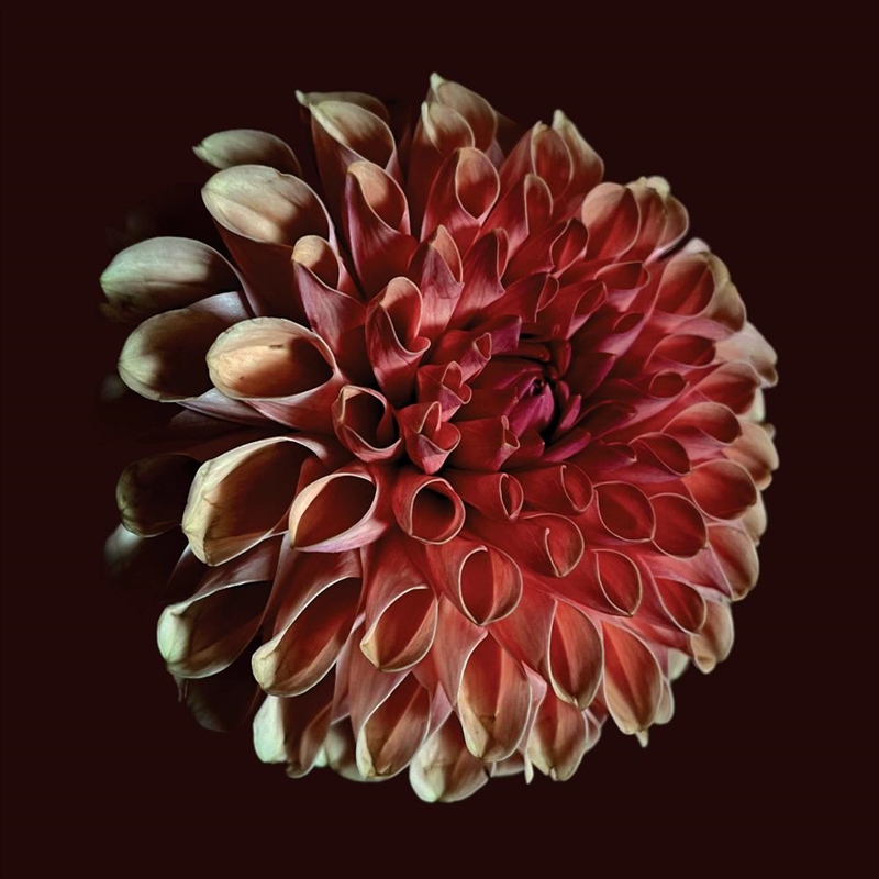 Unfolding/Product Detail/Alternative