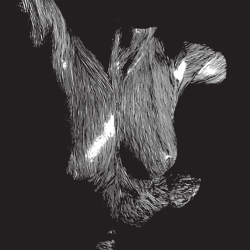 Self Preserved While The Bodies Float Up/Product Detail/Rock/Pop