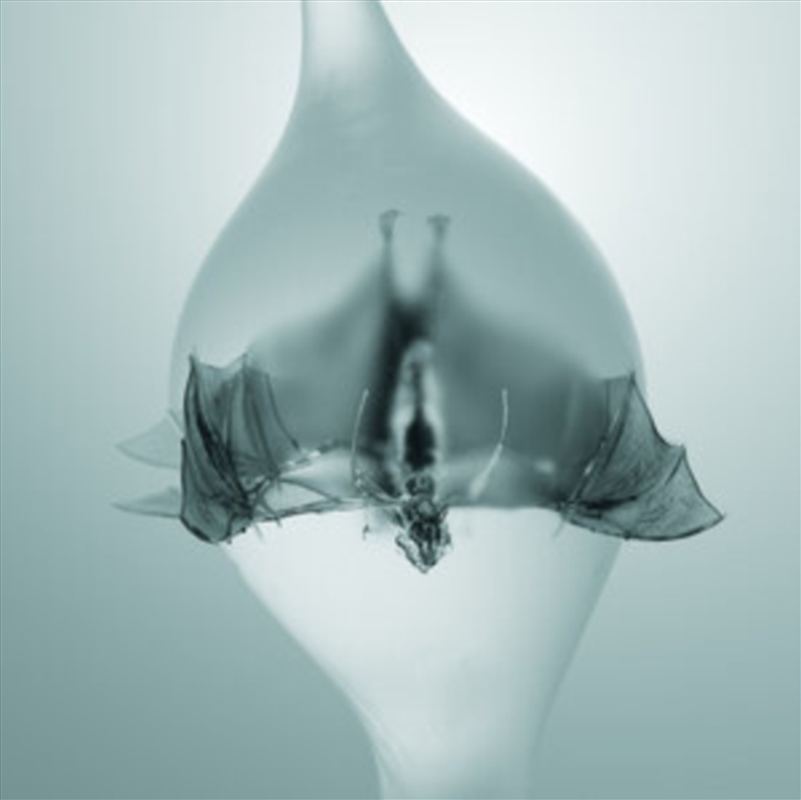 Angel - Clear Vinyl/Product Detail/Rock/Pop