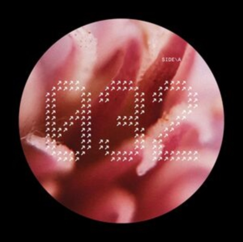 Nech032/Product Detail/Rock/Pop