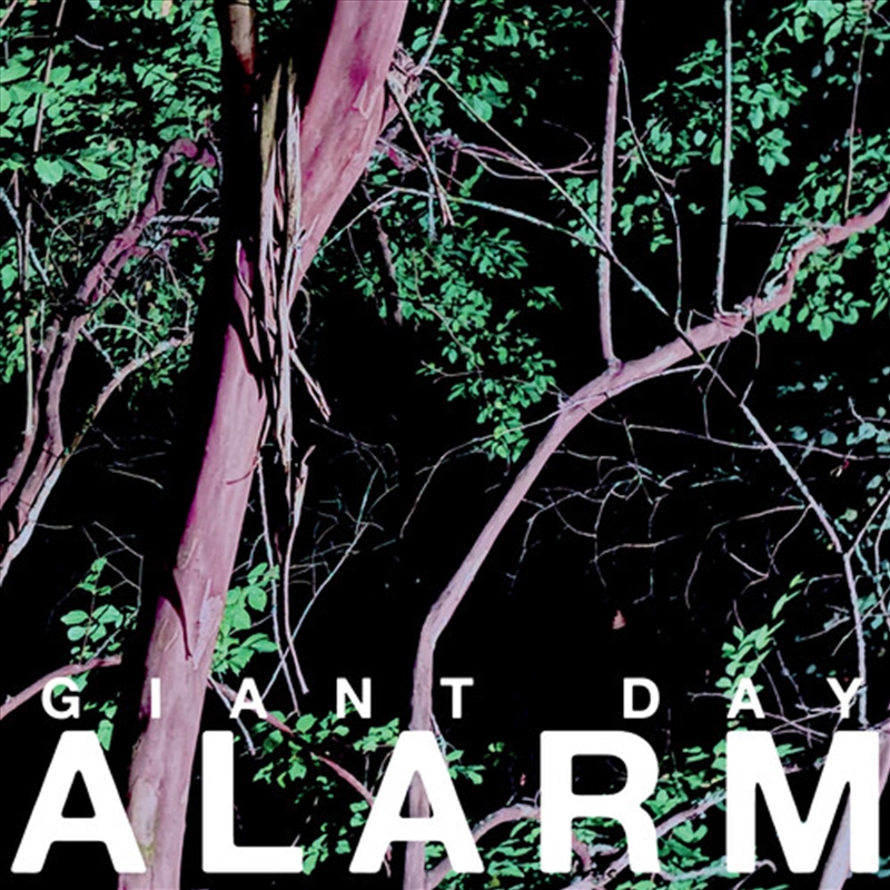 Alarm/Product Detail/Rock/Pop