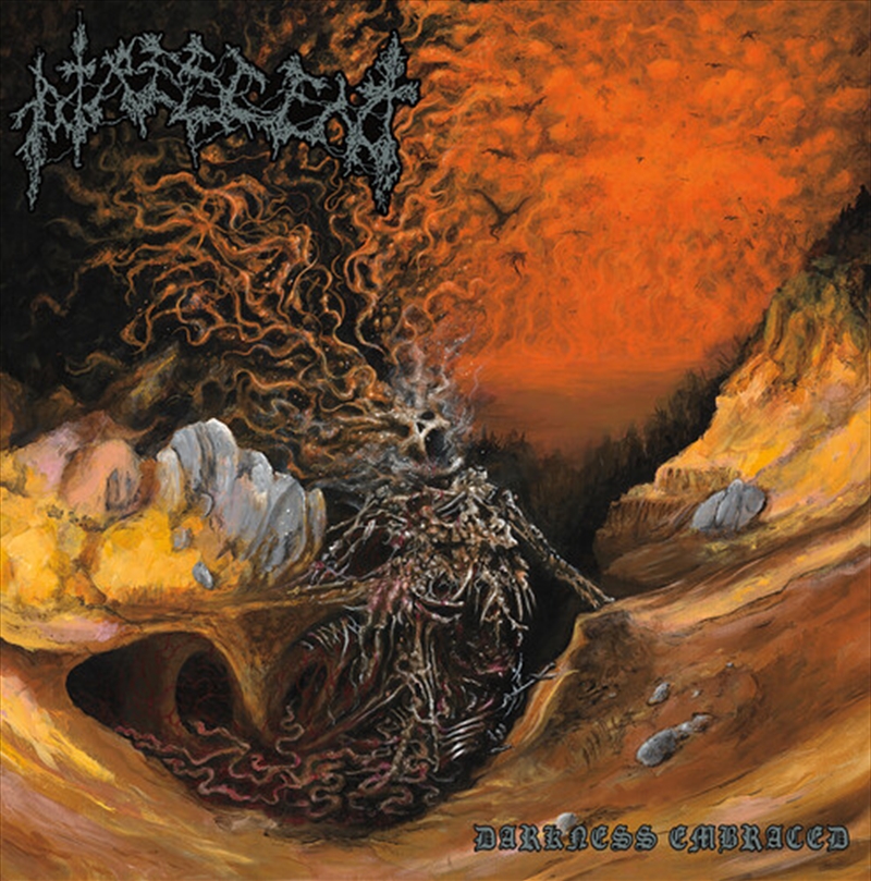 Darkness Embraced/Product Detail/Metal