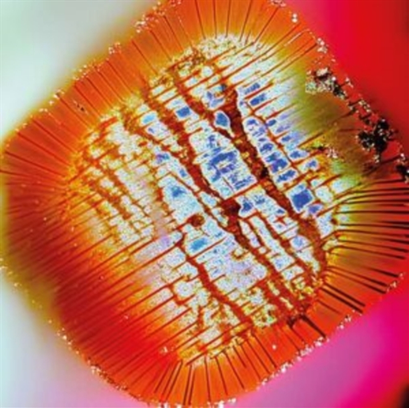 Nothing Stands Still/Product Detail/Dance