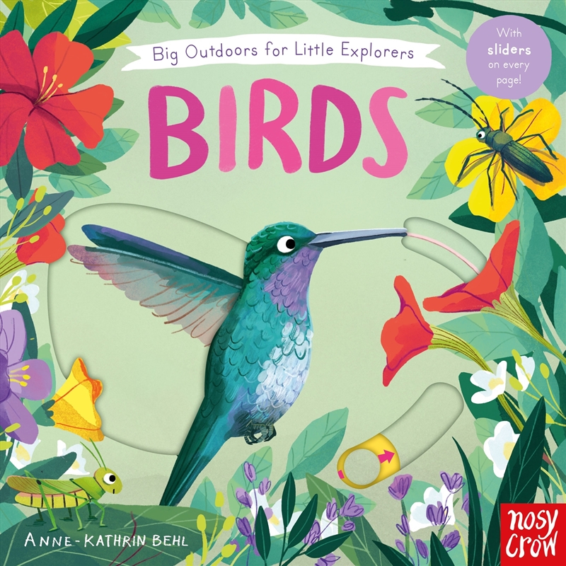 Birds (Big Outdoors for Little Explorers)/Product Detail/Early Childhood Fiction Books