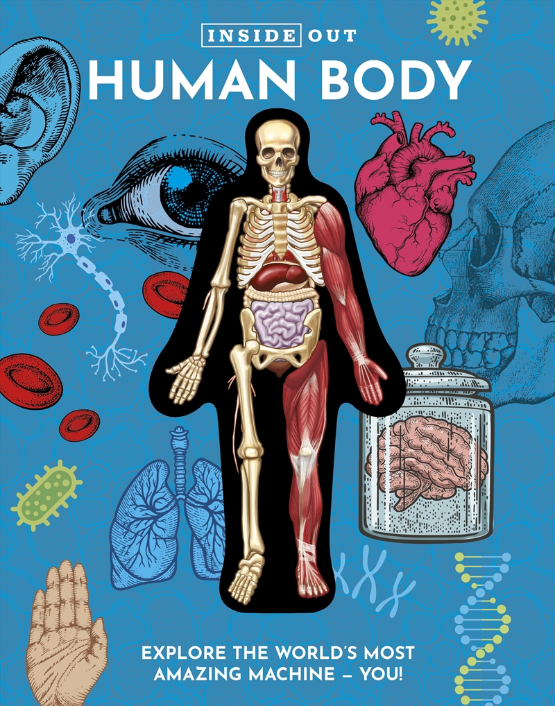 Inside Out Human Body/Product Detail/Early Childhood Fiction Books