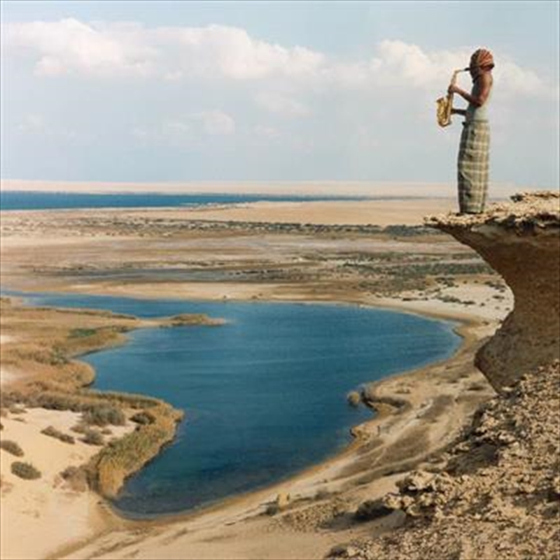 Malik - Blue Transparent Vinyl/Product Detail/Hip-Hop