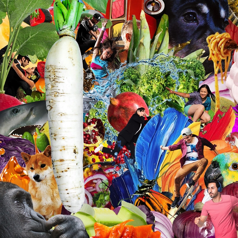 The Radiant Radish/Product Detail/Alternative