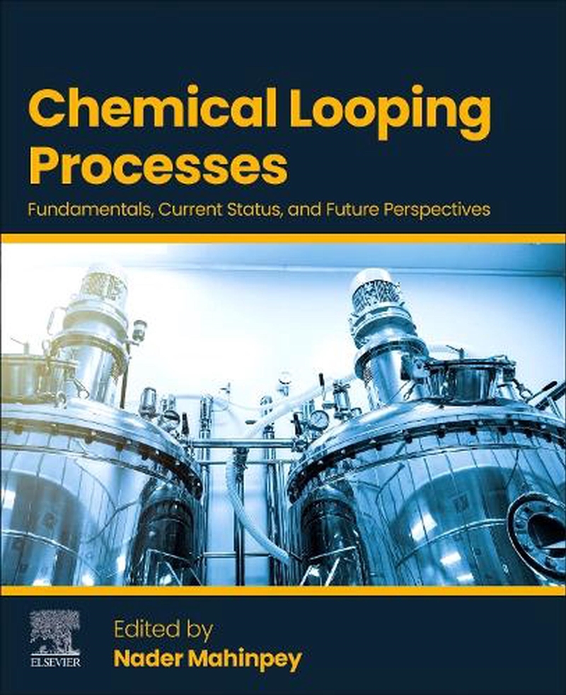Chemical Looping Processes : Fundamentals, Current Status, And Future Perspectives/Product Detail/Science