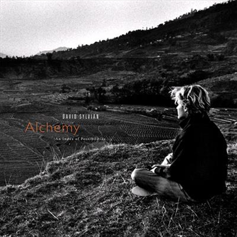 Alchemy - An Index Of Possibilities - Carona Gold Vinyl/Product Detail/Rock/Pop