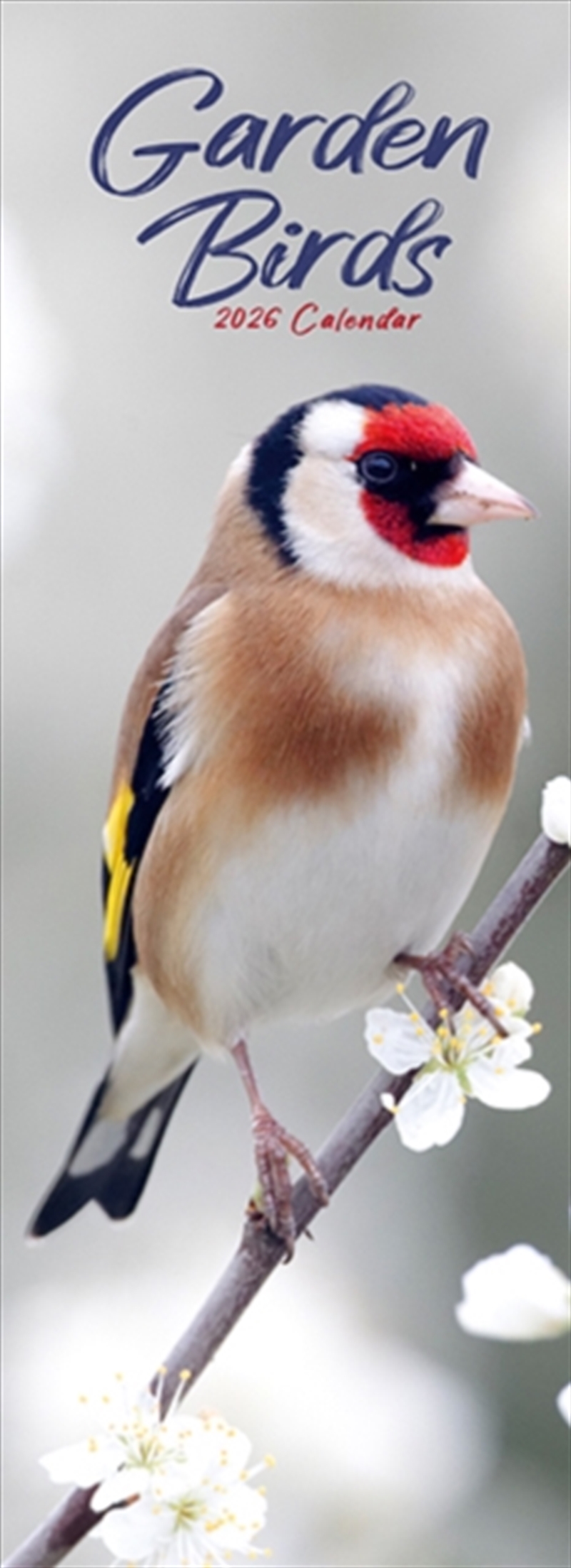 Garden Birds Slim Calendar 2026 Bird Slimline Calendar - 12 Month/Product Detail/Calendars & Diaries