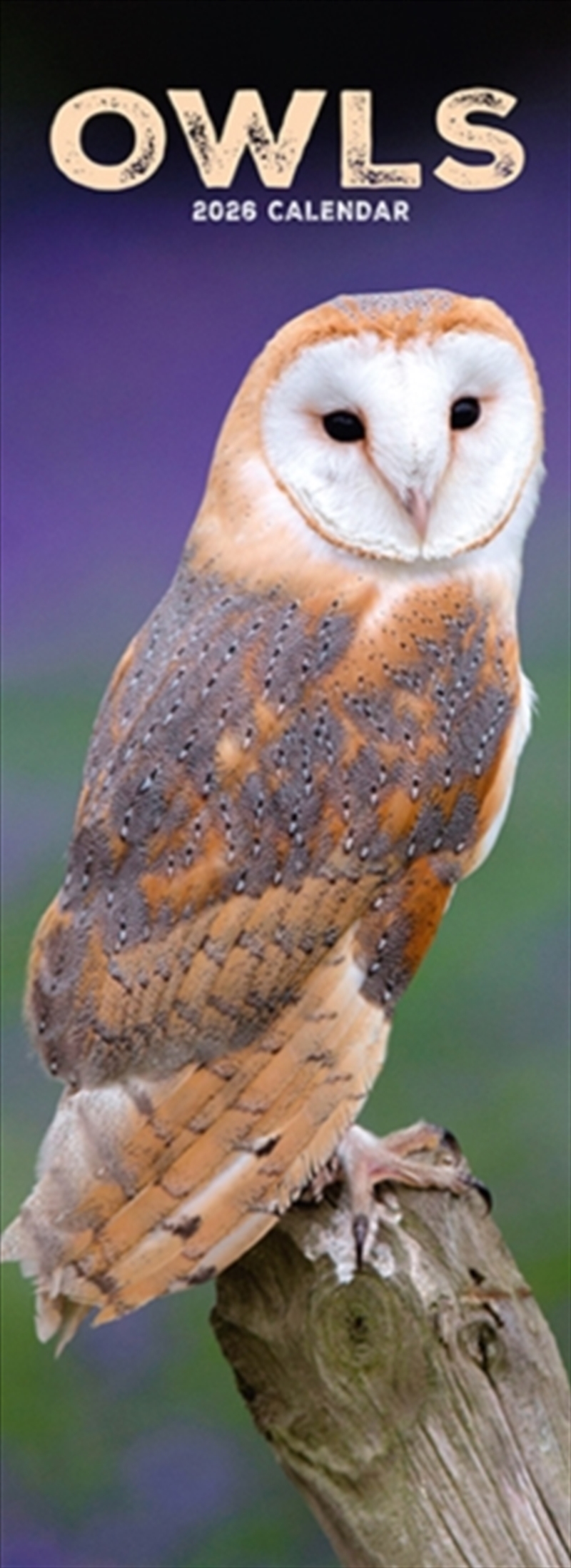 Owls Slim Calendar 2026 Bird Slimline Calendar - 12 Month/Product Detail/Calendars & Diaries