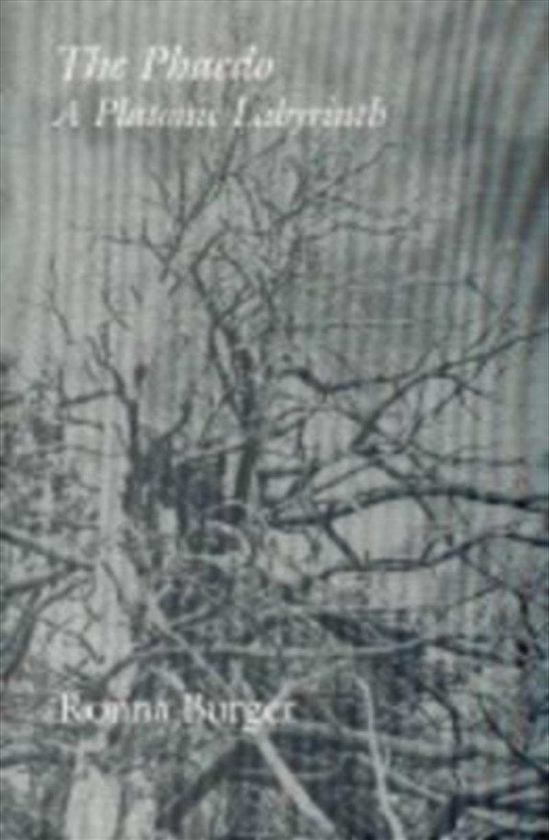 Phaedo A Platonic Labyrinth/Product Detail/Reading