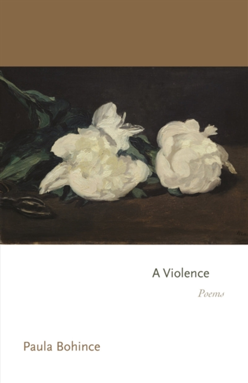 A Violence : Poems/Product Detail/Poetry