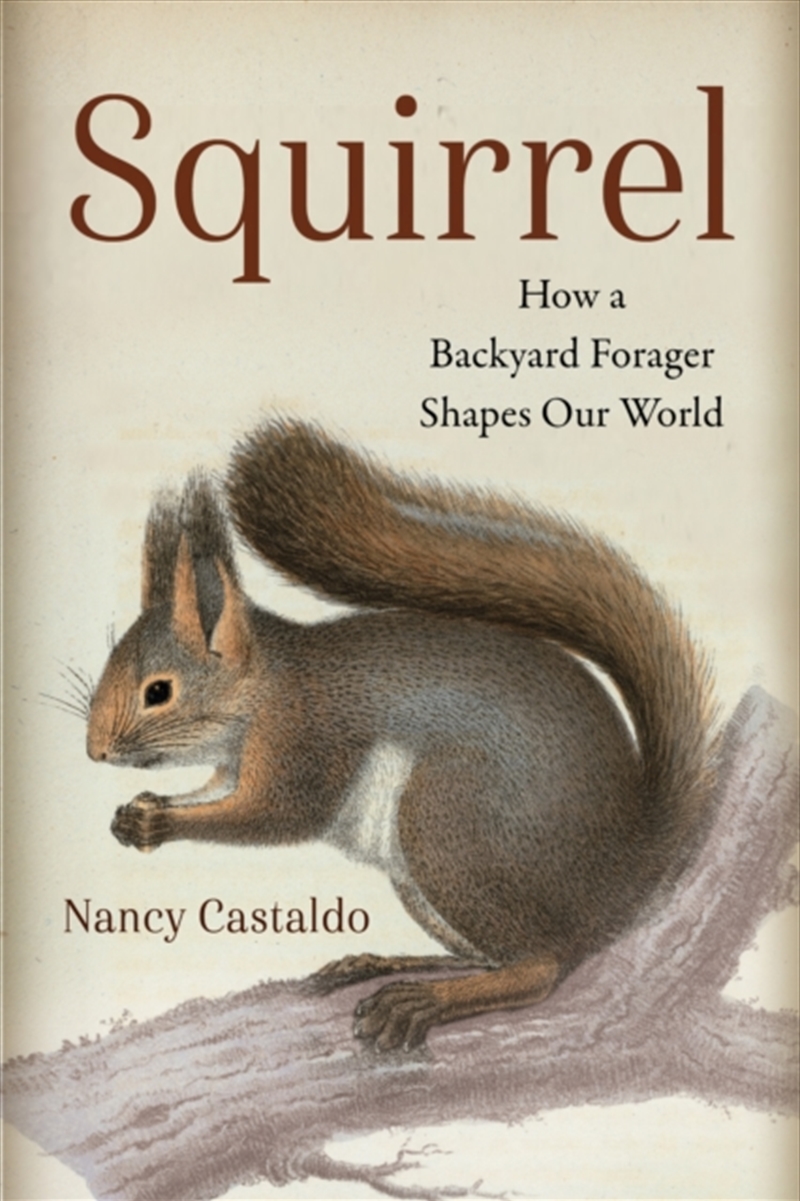 Squirrel : How A Backyard Forager Shapes Our World/Product Detail/Animals & Nature