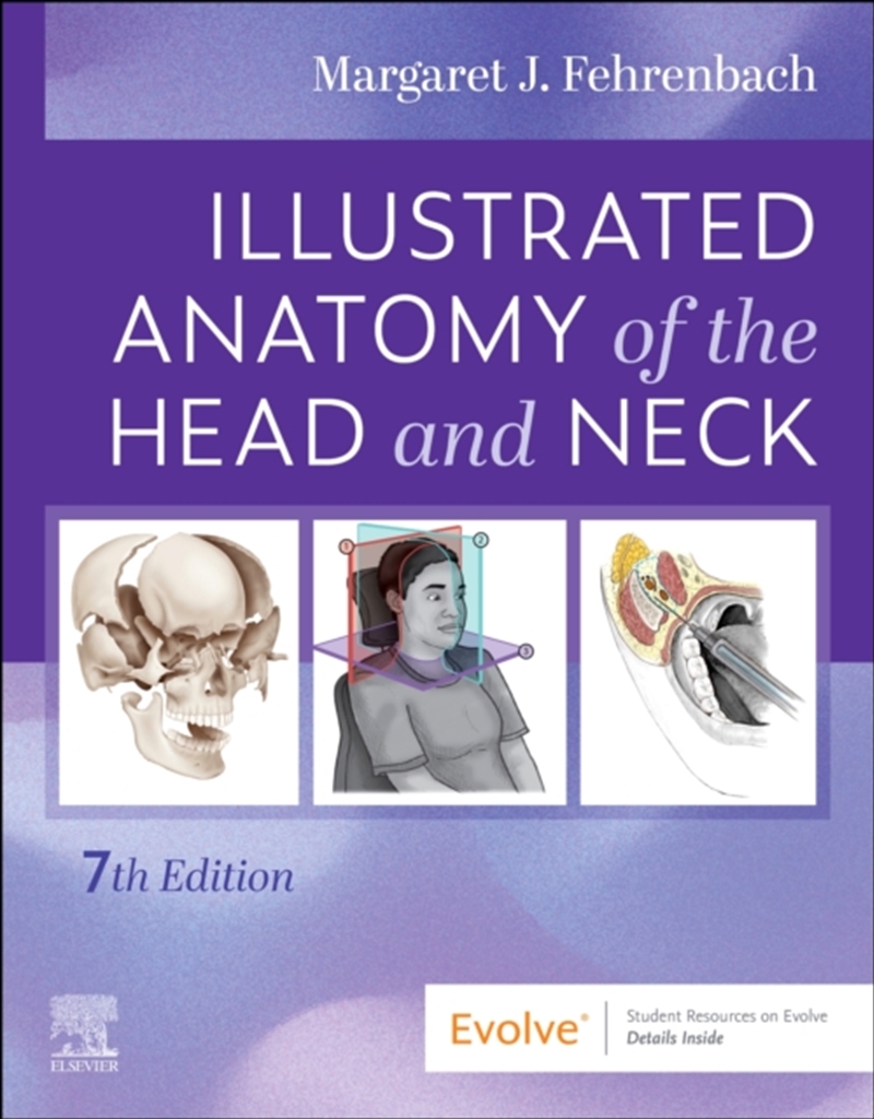 Illustrated Anatomy Of The Head And Neck/Product Detail/Healthcare