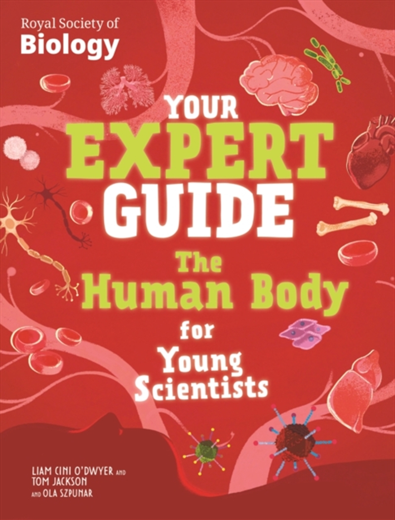 Your Expert Guide: The Human Body For Young Scientists/Product Detail/Children