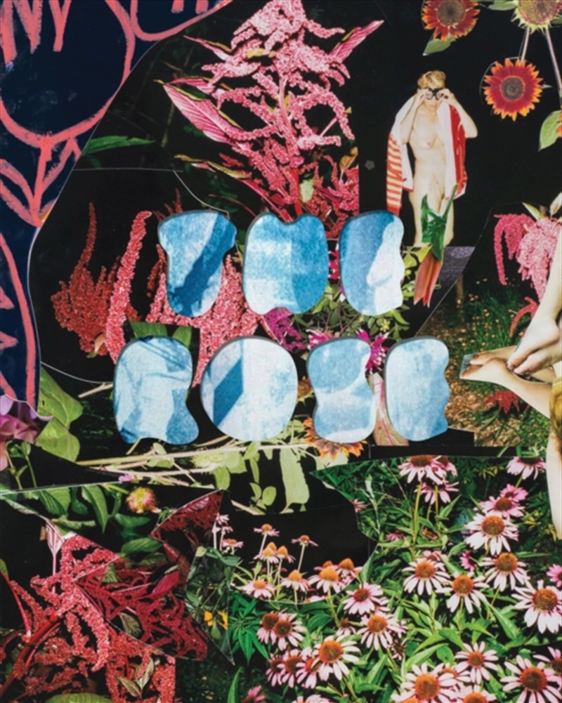 The Rose: A Circular Genealogy Of Collage : Curated By Justine Kurland/Product Detail/Art