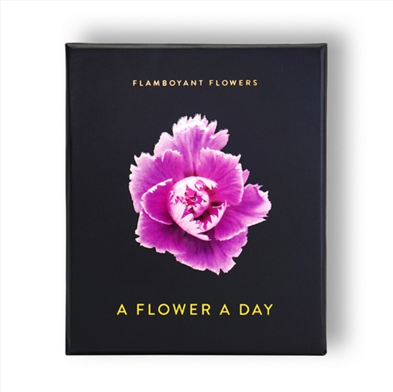 Flamboyant Flowers/Product Detail/Calendars & Diaries