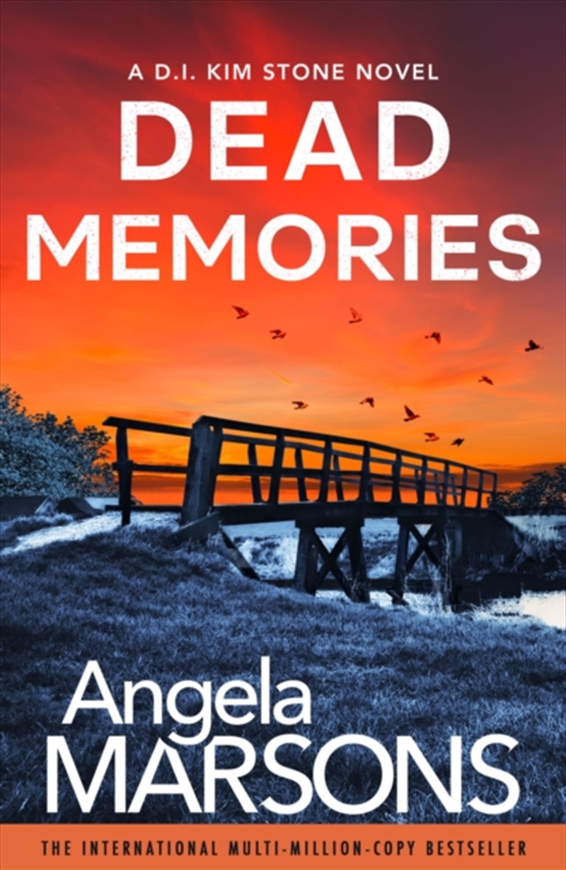 Dead Memories/Product Detail/Crime & Mystery Fiction