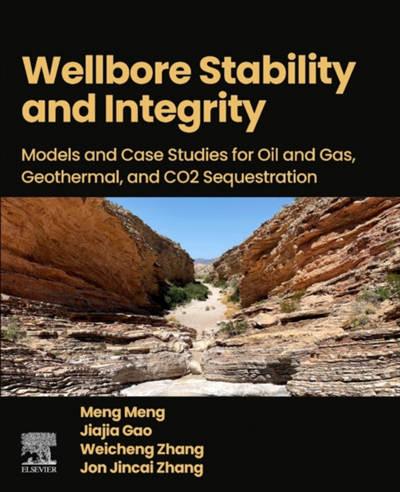 Wellbore Stability And Integrity : Models And Case Studies For Oil And Gas, Geothermal, And Co2 Sequ/Product Detail/Science