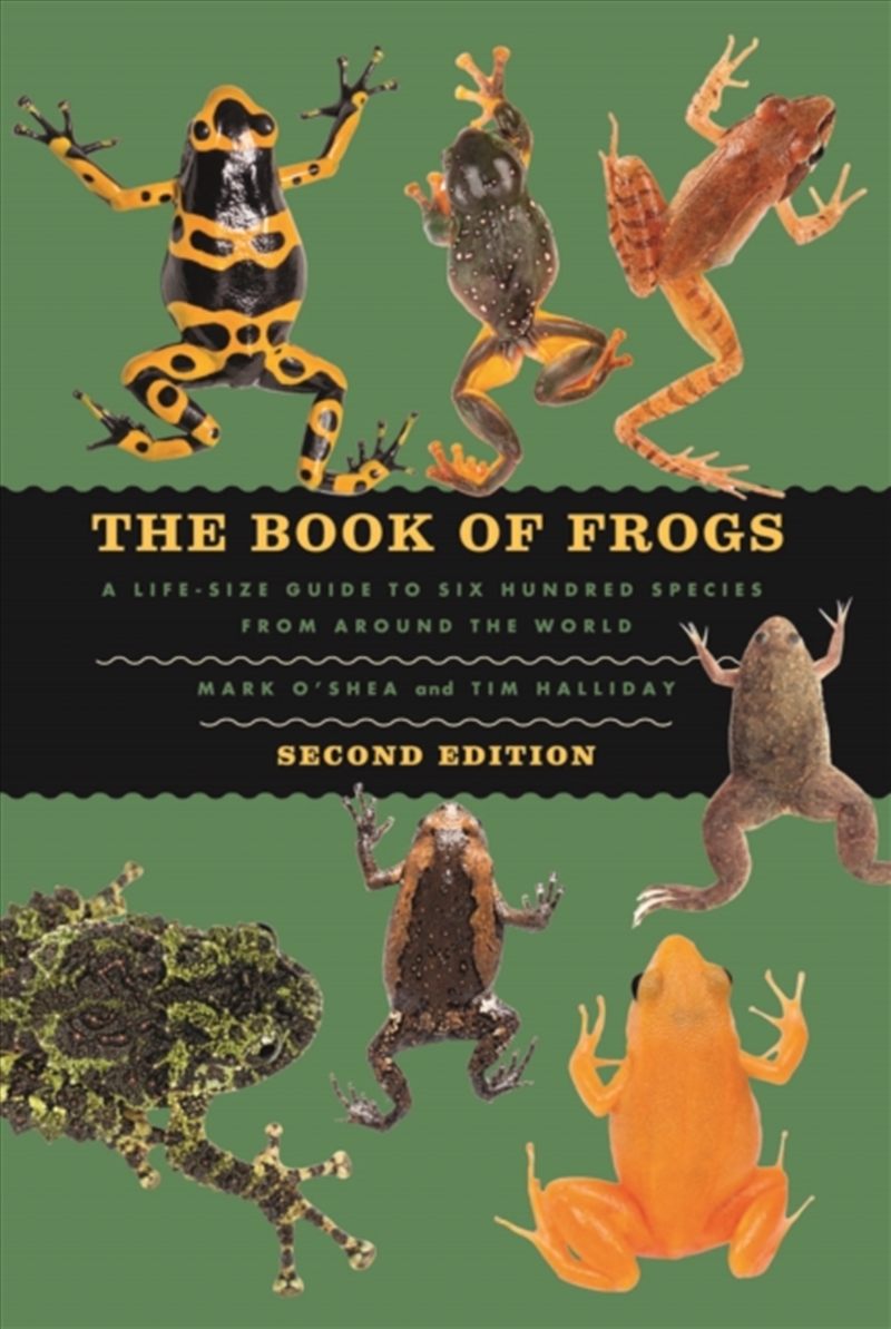 The Book Of Frogs : A Life-Size Guide To Six Hundred Species From Around The World, Second Edition/Product Detail/Animals & Nature
