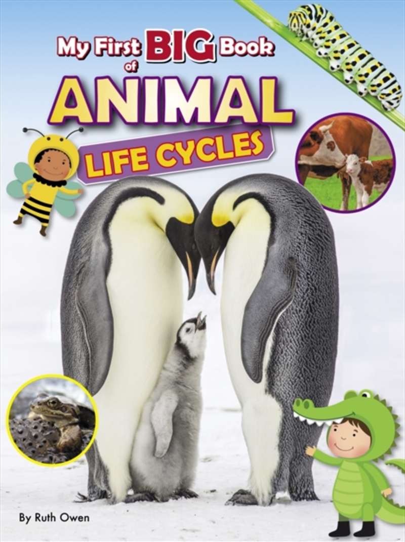 My First Big Book Of Animal Life Cycles/Product Detail/Childrens