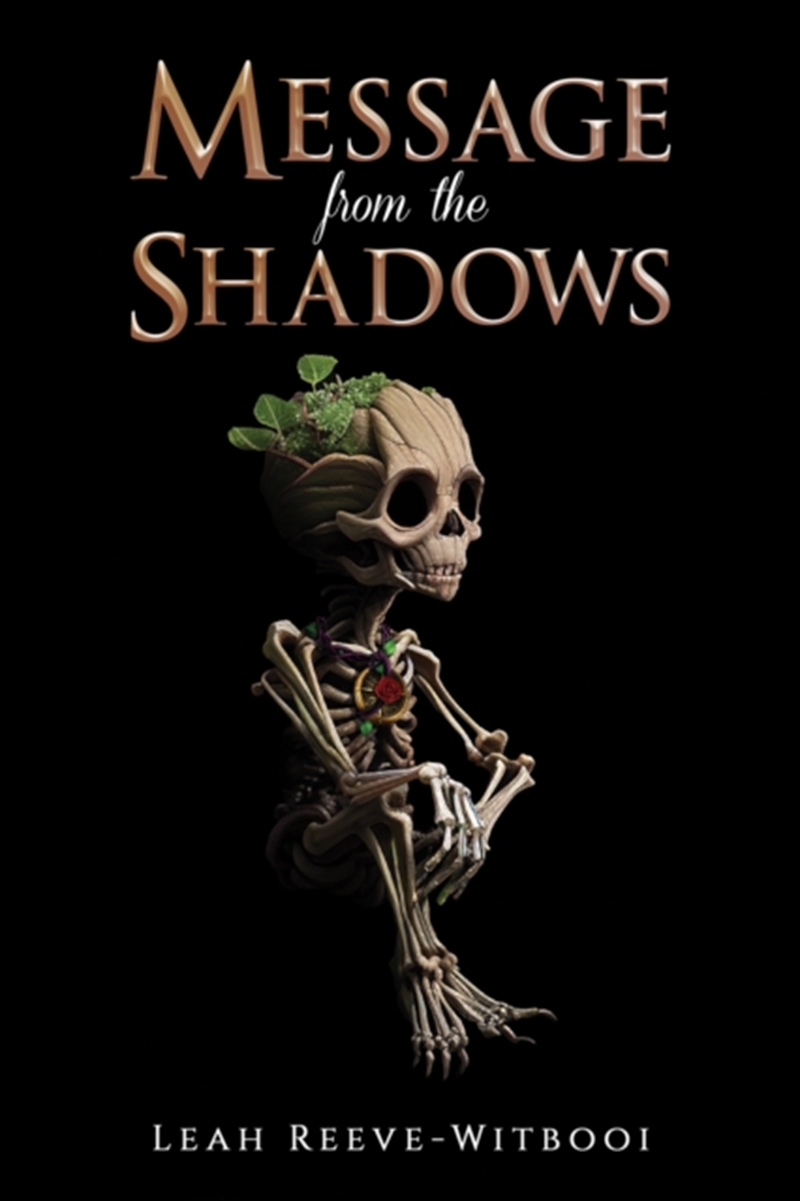 Message From The Shadows/Product Detail/Young Adult Fiction