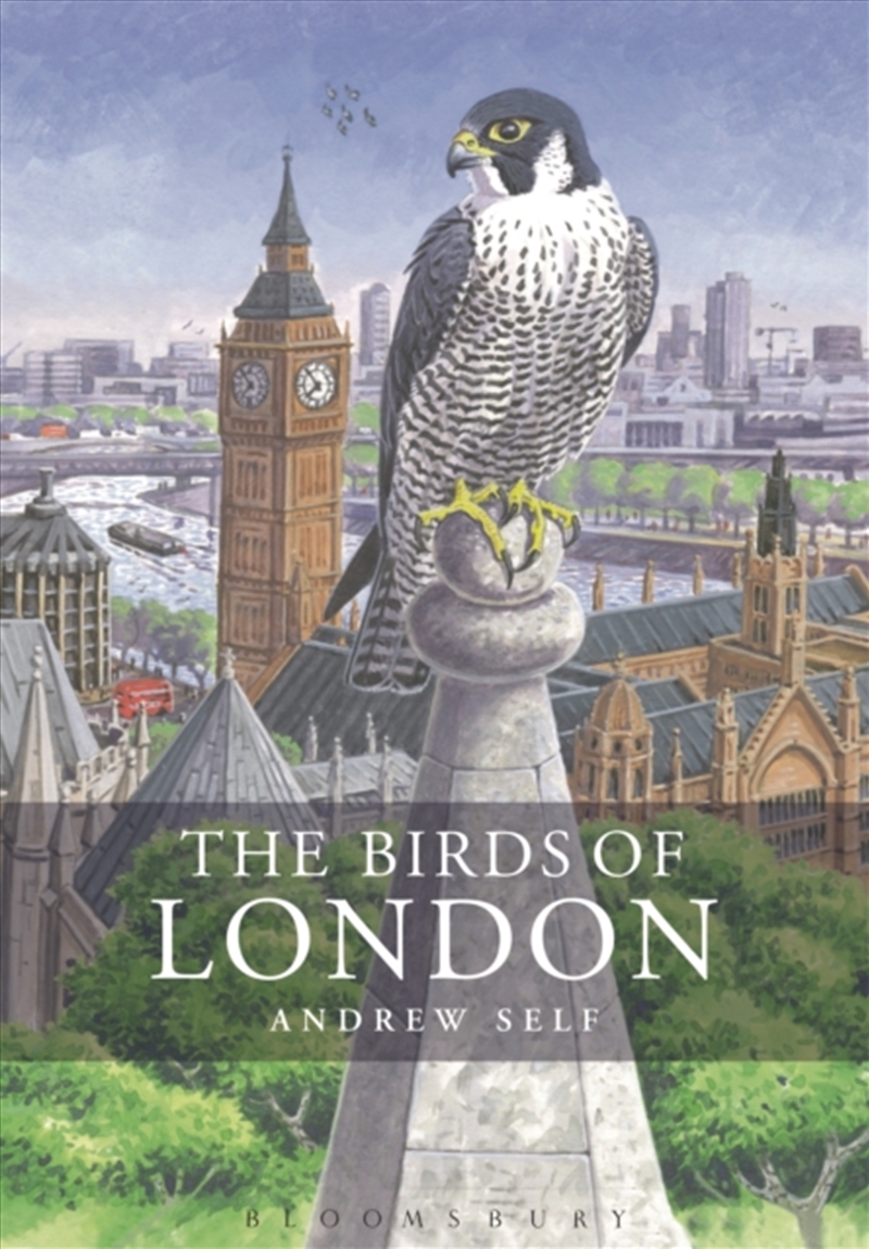 The Birds Of London/Product Detail/Animals & Nature