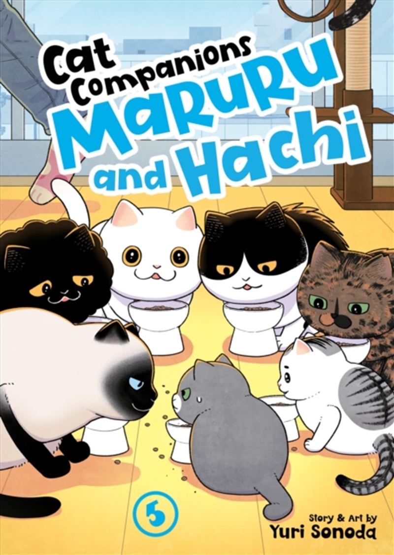 Cat Companions Maruru And Hachi Vol. 5/Product Detail/Graphic Novels