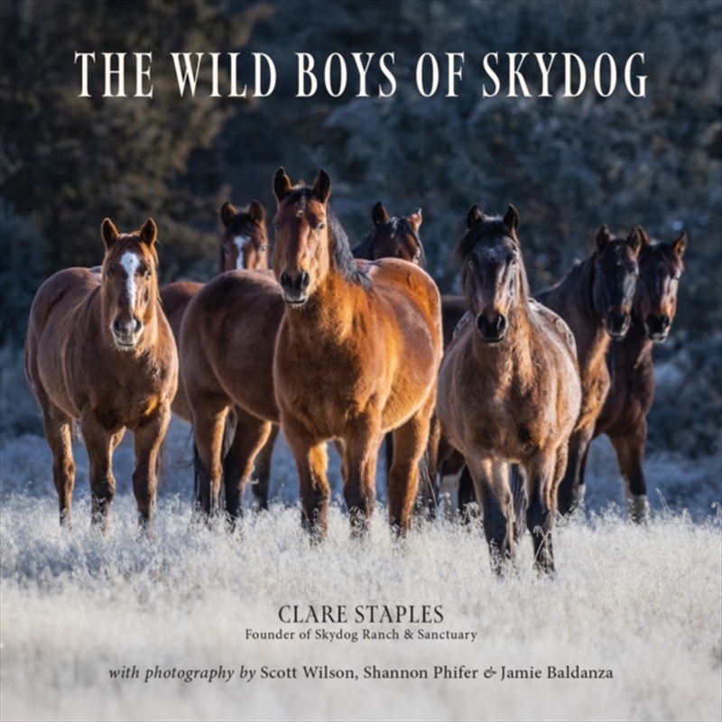 The Wild Boys Of Skydog/Product Detail/Animals & Nature