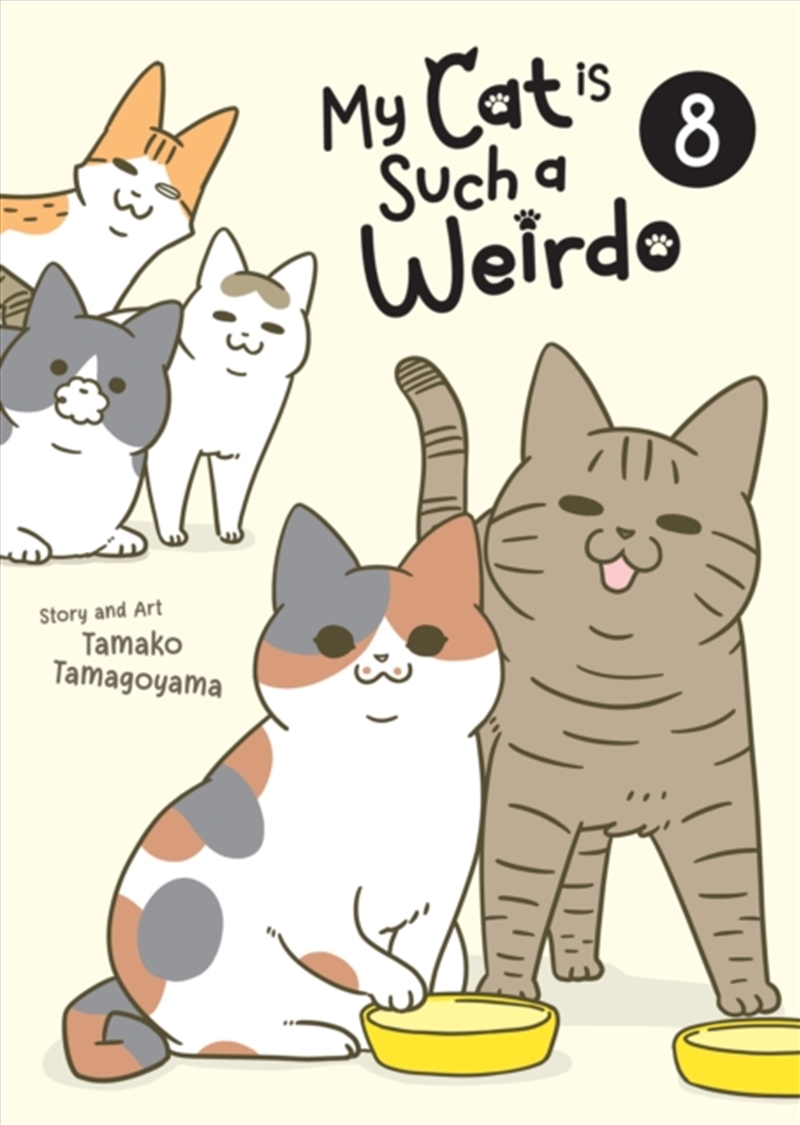 My Cat Is Such A Weirdo Vol. 8/Product Detail/Graphic Novels