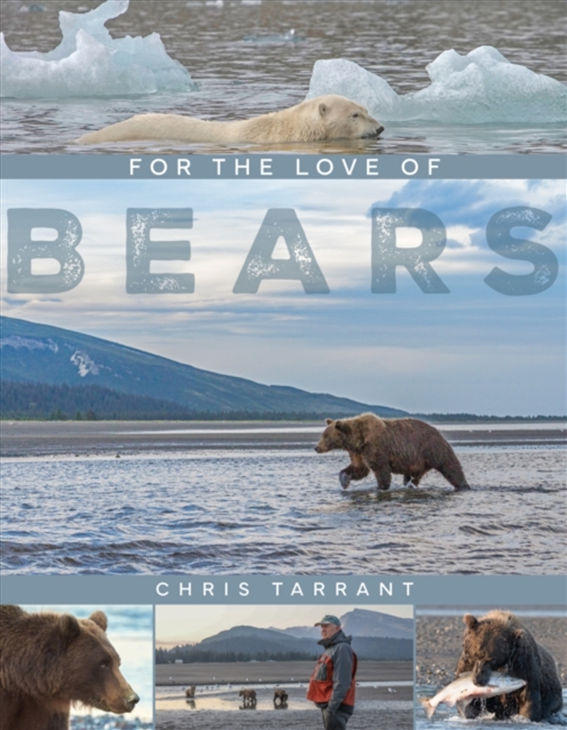 For The Love Of Bears/Product Detail/Animals & Nature