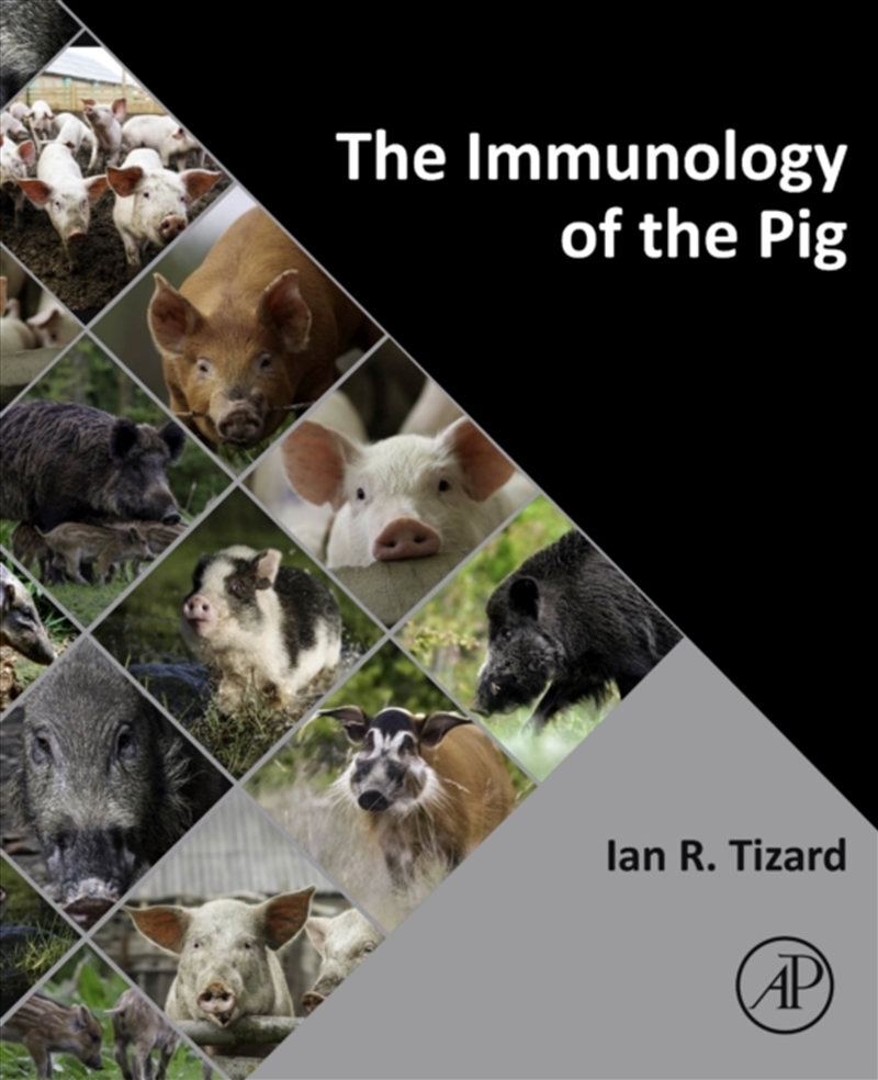 The Immunology Of The Pig/Product Detail/Science