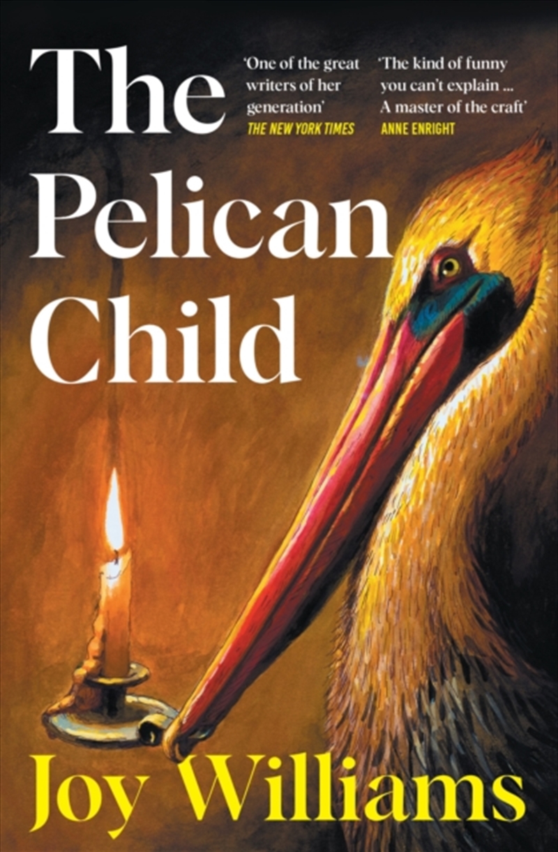 The Pelican Child/Product Detail/General Fiction Books